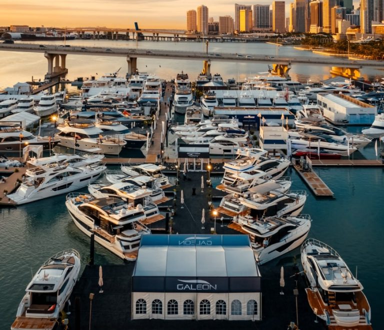 large project 2 popup