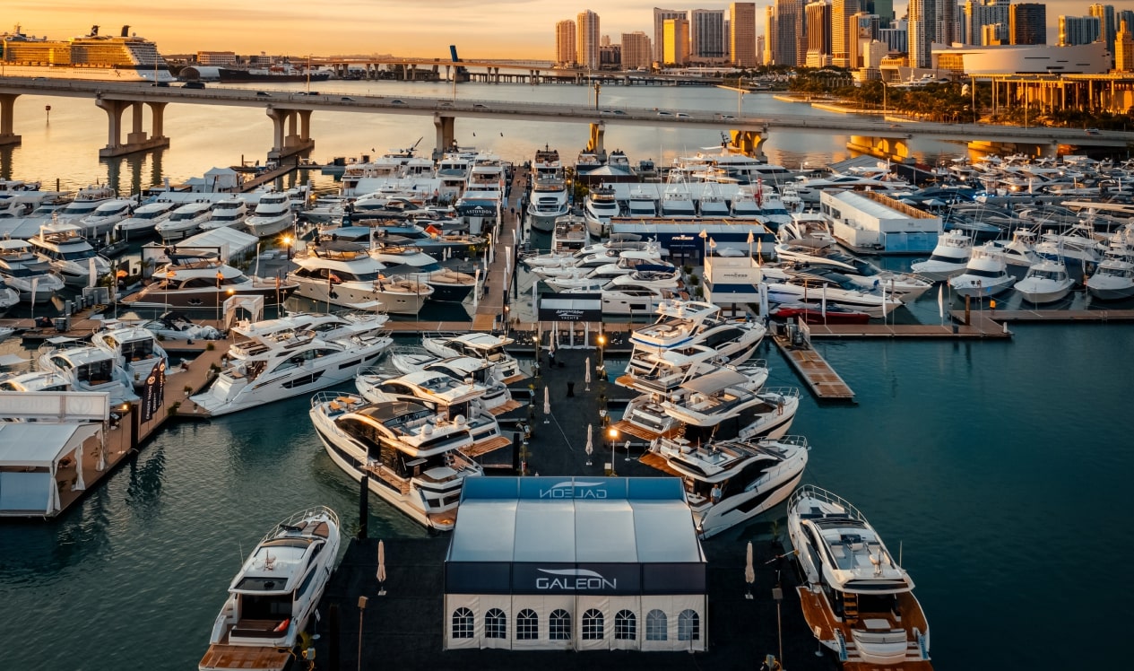 large project 2 popup